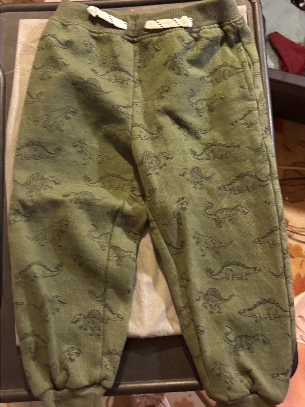 Free Planet Kids Olive Green Dinosaur Sweat Suit